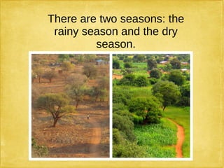 There are two seasons: the
rainy season and the dry
season.
 