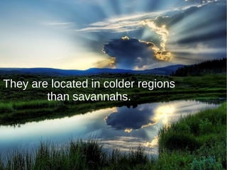 They are located in colder regions
than savannahs.
 