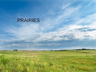 PRAIRIES
 
