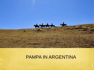 PAMPA IN ARGENTINA
 