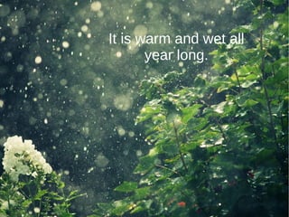 It is warm and wet all
year long.
 