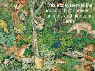 This ecosystem is the
house of half species of
animals and plants on
Earth.
 