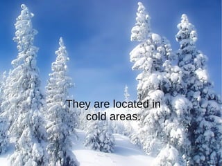 They are located in
cold areas.
 