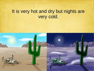 It is very hot and dry but nights are
very cold.
 