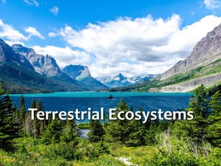 Terrestrial Ecosystems
 