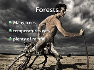 Forests
Many trees
temperatures vary
plenty of rainfall
 