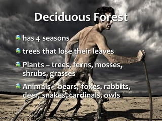 Deciduous Forest
has 4 seasons
trees that lose their leaves
Plants – trees, ferns, mosses,
shrubs, grasses
Animals – bears, foxes, rabbits,
deer, snakes, cardinals, owls
 