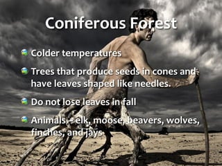 Coniferous Forest
Colder temperatures
Trees that produce seeds in cones and
have leaves shaped like needles.
Do not lose leaves in fall
Animals – elk, moose, beavers, wolves,
finches, and jays
 