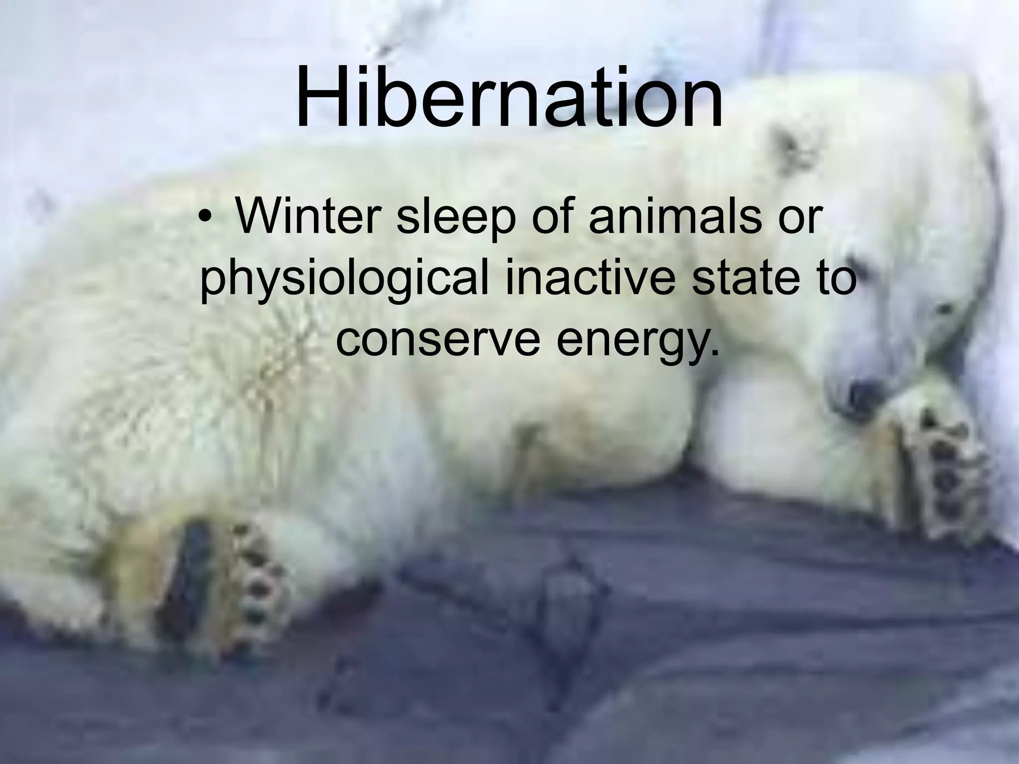 Animals Inactive class 6 THE LIVING ORGANISMS — CHARACTERISTICS AND HABITATS | PPTX
