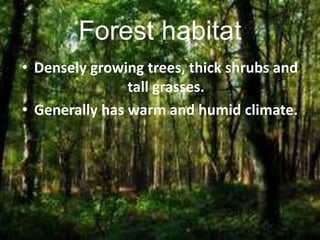 Forest habitat
• Densely growing trees, thick shrubs and
tall grasses.
• Generally has warm and humid climate.
 