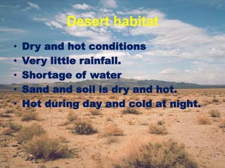Desert habitat
• Dry and hot conditions
• Very little rainfall.
• Shortage of water
• Sand and soil is dry and hot.
• Hot during day and cold at night.
 