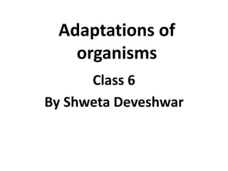 Adaptations of
organisms
Class 6
By Shweta Deveshwar
 
