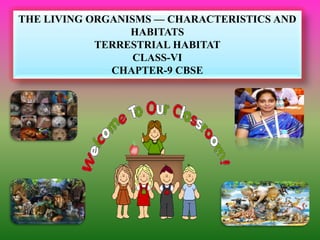 THE LIVING ORGANISMS — CHARACTERISTICS AND
HABITATS
TERRESTRIAL HABITAT
CLASS-VI
CHAPTER-9 CBSE
 