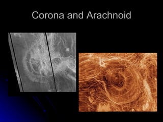 Corona and Arachnoid 