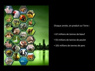 Chaque année, on produit sur Terre :
▪ 67 millions de tonnes de bœuf
▪ 93 millions de tonnes de poulet
▪ 101 millions de tonnes de porc
 