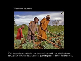 230 millions de tonnes
C’est la quantité annuelle de nourriture produite en Afrique subsaharienne,
soit juste un tout petit peu plus que la quantité gaspillée par les nations riches.
 