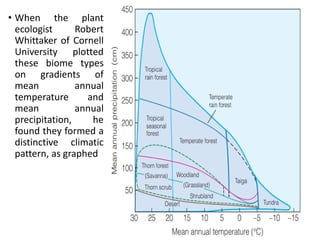 • When the plant
ecologist Robert
Whittaker of Cornell
University plotted
these biome types
on gradients of
mean annual
temperature and
mean annual
precipitation, he
found they formed a
distinctive climatic
pattern, as graphed
 