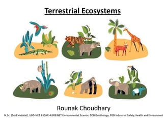 Terrestrial Ecosystems
Rounak Choudhary
M.Sc. (Gold Medalist), UGC-NET & ICAR-ASRB NET Environmental Science, DCB Ornithology, PGD Industrial Safety, Health and Environment
 