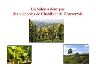 ZENITH DE CAEN
Un Salon à deux pas
des vignobles de Chablis et de l’Auxerrois
 