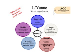 L’Yonne
Et ses appellations
Chablis
Chablis Grand Cru
Chablis 1er Cru
193 domaines viticoles
Vézelay
Bourgogne Vézelay
12 domaines viticoles
33 domaines viticoles
Joigny
Bourgogne Côte
St Jacques
10 domaines viticoles
Auxerrois
Irancy
Saint-Bris
92 domaines viticoles
YONNE
Chiffre clé: 600
viticulteurs
dans l’Yonne
Tonnerre
Bourgogne
Tonnerre
Epineuil
Bourgogne
Epineuil
 