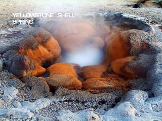 YELLOWSTONE  -  SHELL SPRING 
