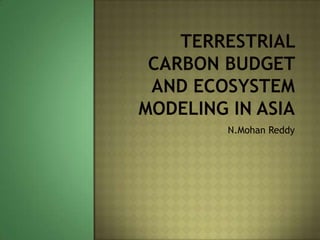 Terristrial Carbon Budgeting Mohan
