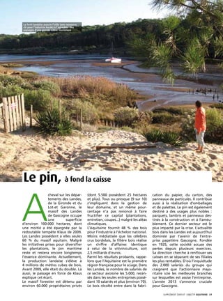 La forêt landaise associe l’utile (une ressource
clé pour l’industrie locale) à l’agréable : des
paysages d’une grande valeur touristique




Le pin, à fond la caisse

A
                 cheval sur les dépar-             (dont 5.500 possèdent 25 hectares         cation du papier, du carton, des
                 tements des Landes,               et plus). Tous ou presque (9 sur 10)      panneaux de particules. Il contribue
                 de la Gironde et du               s’impliquent dans la gestion de           aussi à la réalisation d’emballages
                 Lot-et Garonne, le                leur domaine, et un même pour-            et de palettes. Le pin est également
                 massif des Landes                 centage n’a pas renoncé à faire           destiné à des usages plus nobles :
                 de Gascogne occupe                fructifier ce capital (plantations,       parquets, lambris et panneaux des-
                 une        superficie             entretien, coupes...) malgré les aléas    tinés à la construction et à l’ameu-
d’environ 100.000 hectares, dont                   climatiques.                              blement. Ce dernier secteur est le
une moitié a été épargnée par la                   L’Aquitaine fournit 48 % des bois         plus impacté par la crise. L’actualité
redoutable tempête Klaus de 2009.                  pour l’industrie à l’échelon national.    bois dans les Landes est aujourd’hui
Les Landes possèdent à elles seules                Moins médiatisée que les célèbres         dominée par l’avenir de l’entre-
60 % du massif aquitain. Malgré                    crus bordelais, la filière bois réalise   prise papetière Gascogne. Fondée
les initiatives prises pour diversifier            un chiffre d’affaires identique           en 1925, cette société accuse des
les plantations, le pin maritime                   à celui de la vitiviniculture, soit       pertes depuis plusieurs exercices.
reste et restera encore longtemps                  2,5 milliards d’euros.                    Sa direction cherche à renflouer ses
l’essence dominante. Actuellement,                 Parmi les résultats probants, rappe-      caisses en se séparant de ses filiales
la production landaise s’élève à                   lons que l’Aquitaine est la première      les plus rentables. D’où l’inquiétude
4 millions de mètres cubes de bois.                région française pour le sciage. Dans     des 2.000 salariés du groupe qui
Avant 2009, elle était du double. Là               les Landes, le nombre de salariés de      craignent que l’actionnaire majo-
aussi, le passage en force de Klaus                ce secteur avoisine les 5.000, recen-     ritaire scie les meilleures branches
explique cet écart.                                sés dans les seules entreprises possé-    sur lesquelles est assise l’entreprise.
Le massif forestier est détenu par                 dant 10 salariés et plus (environ 70).    L’année 2013 s’annonce cruciale
environ 60.000 propriétaires privés                Le bois récolté entre dans la fabri-      pour Gascogne.

                                                                                                    SUPPLÉMENT gratuit· objectif aquitaine· 19
 