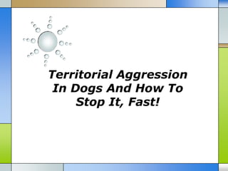 Territorial Aggression
 In Dogs And How To
     Stop It, Fast!
 