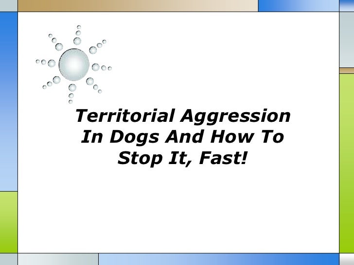 stopping territorial dog aggression
