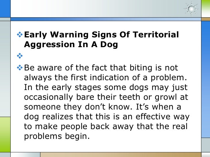 Stop Dog Biting Fast Stop Dog Biting Fast