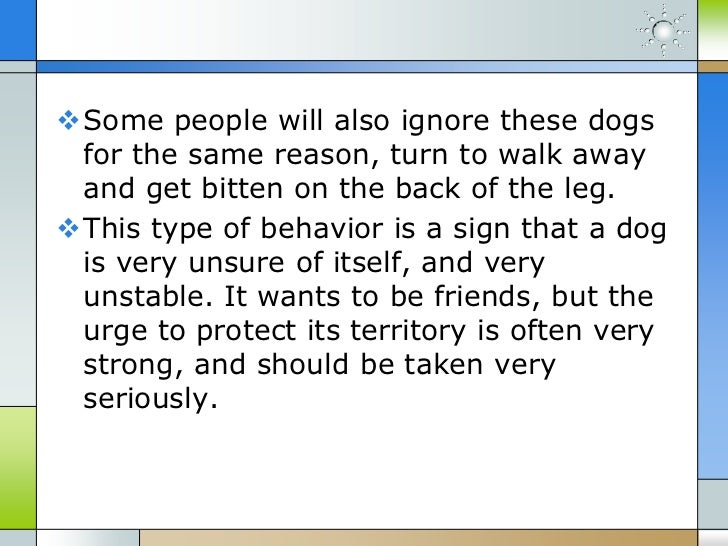How To Stop Territorial Aggression In Dogs How To Stop Territorial Aggression In Dogs