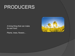 PRODUCERS
A living thing that can make
its own food.
Plants, trees, flowers…
 