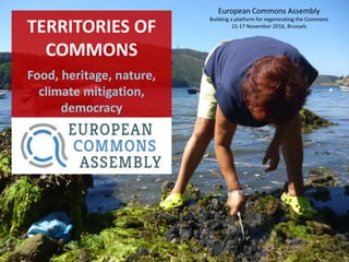 TERRITORIES OF
COMMONS
Food, heritage, nature,
climate mitigation,
democracy
European Commons Assembly
Building a platform for regenerating the Commons
15-17 November 2016, Brussels
 