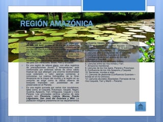 REGIÓN AMAZÓNICA
 La Amazonía colombiana tiene una extensión
de 403.348 km2 iguales al 35.3% de la superficie
terrestre del país; limita al norte con la Orinoquía, al
sur con los ríos Putumayo y Amazonas, al occidente
con la cordillera Oriental y al oriente con Brasil y el
río Negro. Esta región comprende los
departamentos de Caquetá, Putumayo, Amazonas,
Vaupés, Guainía y Guaviare, y representa las
fronteras internacionales terrestres más extensas
del país con Venezuela, Brasil, Perú y Ecuador.
 Es una región de relieve plano, con altos registros
de precipitaciones (lluvia) y temperaturas; está
conformada por extensas selvas de clima cálido
tropical las que albergan una enorme biodiversidad
cuya extensión y valor apenas comienza a
conocerse. La cuenca hidrográfica de la Gran
Amazonía es la mayor del mundo y la región en su
conjunto se erige como la última reserva de
bosques tropicales con posibilidad de ser
preservada en el Planeta.
 Es una región surcada por varios ríos caudalosos,
tales como, el Caquetá, Putumayo, Vaupés, Negro,
Guainía, Apaporis, Yarí, Orteguaza, Caguán y Cara
Paraná. Los principales centros urbanos de esta
región son Florencia, Leticia, Mocoa, Puerto
Leguízamo, San José del Guaviare y Mitú. La
población indígena predomina en los departamentos
de Guainía, Vaupés y Amazonas.
 Según el Instituto geográfico Agustín Codazzi, la
Amazonía colombiana se divide en 12 subregiones.
 1. Piedemonte Amazónico.
2. Llanuras altas y disectadas del rió Caquetá.
3. Llanuras de los ríos Guaviare e Inírida.
4. Confluencia de la red andina en los ríos
Putumayo y Caquetá.
5. Penillanuras al sur de Puerto Inírida.
6. Llanuras entre los ríos Inírida y Yarí.
7. Amazonía meridional.
8. Llanuras de los ríos Igara, Paraná y Putumayo.
9. Confluencia de los ríos Apaporis y Caquetá.
10. Serranías, montes e islas.
11. Llanuras de desborde (Confluencia Guaviare –
Inírida en el río Orinoco).
12. Llanuras aluviales disectadas (Terrazas de los
ríos Caquetá, Yarí y Marití – Paraná).
 