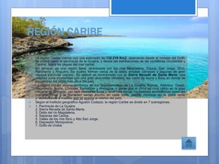 REGIÓN CARIBE
 La región Caribe cuenta con una extensión de 132.218 Km2, abarcando desde el noreste del Golfo
de Urabá hasta la península de la Guajira, y desde las estribaciones de las cordilleras Occidental y
Central, hasta las playas del mar caribe.
 En general, es una región llana, atravesada por los ríos Magdalena, Cauca, San Jorge, Sinú,
Ranchería y Ariguaní, los cuales forman cerca de la costa amplias ciénagas y lagunas de gran
riqueza piscícola (peces). Su relieve se contrarresta con la Sierra Nevada de Santa Marta, una
extensa zona montañosa con una gran diversidad climática, así como de fauna y flora, en donde se
encuentran los picos más altos del país.
 La región Caribe abarca territorios de los departamentos de La Guajira, Bolívar, Atlántico, Cesar,
Magdalena, Sucre, Córdoba, Santander y Antioquia. A pesar que el clima es muy cálido en la gran
mayoría de la región, con seis meses de lluvia y otros seis secos, los factores atmosféricos como las
precipitaciones y la humedad varían mucho en cada zona, siendo menores en la parte norte
y aumentando a medida que se acerca al interior del país.
 Según el Instituto geográfico Agustín Codazzi, la región Caribe se divide en 7 subregiones.
 1. Península de La Guajira
2. Sierra Nevada de Santa Marta.
3. Delta del río Magdalena.
4. Sabanas del Caribe.
5. Valles de los ríos Sinú y Alto San Jorge.
6. Depresión Momposina.
7. Golfo de Urabá.
 
