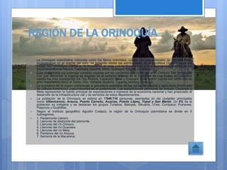 REGIÓN DE LA ORINOQUÍA
 La Orinoquía colombiana, conocida como los llanos orientales, cuanta con una extensión de 310.000 Km2,
localizándose en el oriente del país; se extiende desde las estribaciones de la cordillera Oriental hasta los
limites con Venezuela y entre el río Arauca, en el norte y el río Guaviare en el sur; abarcando territorios de los
departamentos de Arauca, Casanare, Guainía, Meta, Guaviare, Vaupés y Vichada.
 Está conformada por extensas sabanas regadas por las corrientes que confluyen al río Orinoco. Los principales
ríos que alimentan la cuenca se originan en el extremo oriental de la Cordillera de Los Andes en Colombia
siendo los más importantes los ríos Arauca, Casanare, Meta y Guaviare. Esta región cuenta con otros ríos de
gran importancia como el Tomo, Vita, Vichada, Guainía, Tuparro, Inírida y Cinaruco.
 La economía de la región comprende la ganadería extensiva en las zonas de sabana y agricultura tecnificada
de cultivos transitorios y permanentes en el piedemonte. Las explotaciones petroleras de Arauca, Casanare y
Meta representan la fuente principal de exportaciones e ingresos de la economía nacional y han propiciado el
desarrollo de la infraestructura vial y de servicios de estos departamentos.
 La población de la Orinoquía se estima en 1'048.716 personas, asentadas en las ciudades principales
como Villavicencio, Arauca, Puerto Carreño, Acacías, Puerto López, Yopal y San Martín. Un 5% de la
población es indígena y se destacan los grupos Tunebos, Betoyes, Sikuanis, U'wa, Curripaco, Puinaves,
Piapocos y Guahibos.
 Según el Instituto geográfico Agustín Codazzi, la región de la Orinoquía colombiana se divide en 5
subregiones.
 1. Piedemonte Llanero
2. Llanuras de desborde del piemonte.
3. Llanuras del río Orinoco.
4. Llanuras del río Guaviare.
5. Llanuras del río Meta.
6. Pantanos del río Arauca.
7. Serranía de la Macarena.
 