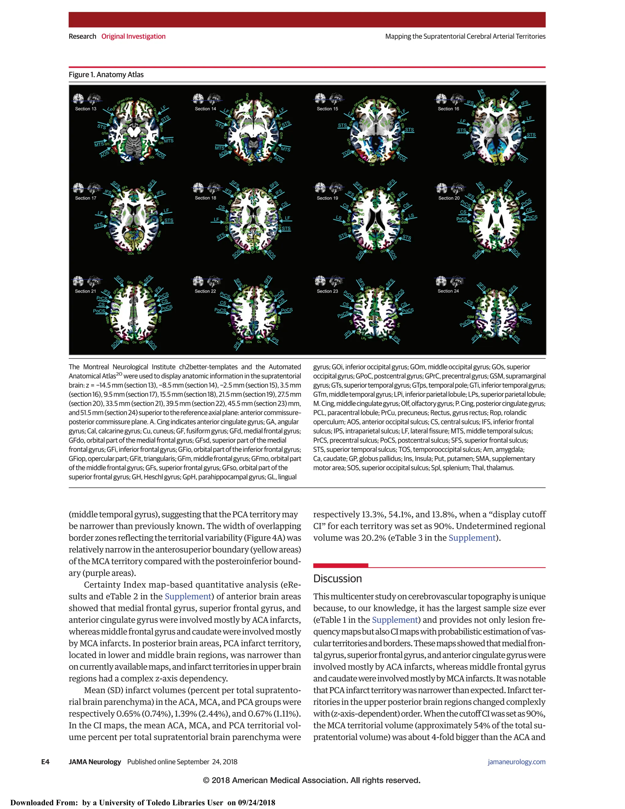 Territorios arteria cerebral. Neurología | PDF