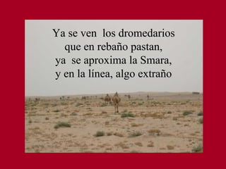 Ya se ven  los dromedarios que en rebaño pastan, ya  se aproxima la Smara, y en la línea, algo extraño 