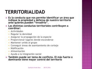  Es la conducta que nos permite identificar un área que
indique la propiedad y defensa de nuestro territorio
ante quienes pueden “invadirlo”.
 Las distintas conductas territoriales contribuyen a
coordinar:
 Actividades
 Regular la densidad
 Asegurar la propagación de la especie
 Proporcionar lugares donde esconderse
 Mantener unido al grupo
 Conseguir áreas de asentamiento de cortejo
 Nidificación
 Alimentación
 Ayuda a la integración social
 También puede ser tema de conflicto. El más fuerte o
dominante tiene mayor control del territorio
28/01/2016Estefania Pulido Rosa
 