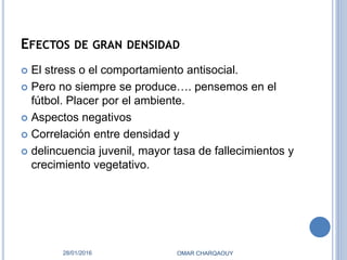 EFECTOS DE GRAN DENSIDAD
 El stress o el comportamiento antisocial.
 Pero no siempre se produce…. pensemos en el
fútbol. Placer por el ambiente.
 Aspectos negativos
 Correlación entre densidad y
 delincuencia juvenil, mayor tasa de fallecimientos y
crecimiento vegetativo.
28/01/2016 OMAR CHARQAOUY
 