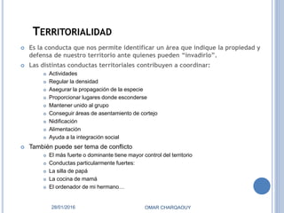 TERRITORIALIDAD
 Es la conducta que nos permite identificar un área que indique la propiedad y
defensa de nuestro territorio ante quienes pueden “invadirlo”.
 Las distintas conductas territoriales contribuyen a coordinar:
 Actividades
 Regular la densidad
 Asegurar la propagación de la especie
 Proporcionar lugares donde esconderse
 Mantener unido al grupo
 Conseguir áreas de asentamiento de cortejo
 Nidificación
 Alimentación
 Ayuda a la integración social
 También puede ser tema de conflicto
 El más fuerte o dominante tiene mayor control del territorio
 Conductas particularmente fuertes:
 La silla de papá
 La cocina de mamá
 El ordenador de mi hermano…
28/01/2016 OMAR CHARQAOUY
 