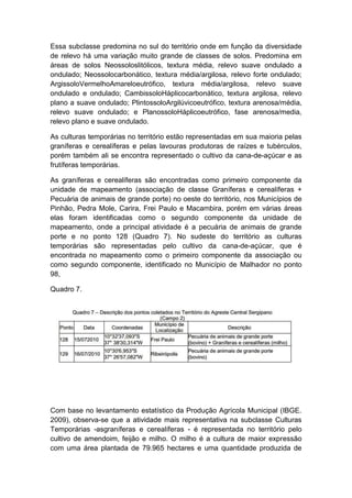 Essa subclasse predomina no sul do território onde em função da diversidade
de relevo há uma variação muito grande de classes de solos. Predomina em
áreas de solos Neossoloslitólicos, textura média, relevo suave ondulado a
ondulado; Neossolocarbonático, textura média/argilosa, relevo forte ondulado;
ArgissoloVermelhoAmareloeutrófico, textura média/argilosa, relevo suave
ondulado e ondulado; CambissoloHáplicocarbonático, textura argilosa, relevo
plano a suave ondulado; PlintossoloArgilúvicoeutrófico, textura arenosa/média,
relevo suave ondulado; e PlanossoloHáplicoeutrófico, fase arenosa/media,
relevo plano e suave ondulado.
As culturas temporárias no território estão representadas em sua maioria pelas
graníferas e cerealíferas e pelas lavouras produtoras de raízes e tubérculos,
porém também ali se encontra representado o cultivo da cana-de-açúcar e as
frutíferas temporárias.
As graníferas e cerealíferas são encontradas como primeiro componente da
unidade de mapeamento (associação de classe Graníferas e cerealíferas +
Pecuária de animais de grande porte) no oeste do território, nos Municípios de
Pinhão, Pedra Mole, Carira, Frei Paulo e Macambira, porém em várias áreas
elas foram identificadas como o segundo componente da unidade de
mapeamento, onde a principal atividade é a pecuária de animais de grande
porte e no ponto 128 (Quadro 7). No sudeste do território as culturas
temporárias são representadas pelo cultivo da cana-de-açúcar, que é
encontrada no mapeamento como o primeiro componente da associação ou
como segundo componente, identificado no Município de Malhador no ponto
98,
Quadro 7.
Com base no levantamento estatístico da Produção Agrícola Municipal (IBGE.
2009), observa-se que a atividade mais representativa na subclasse Culturas
Temporárias -asgraníferas e cerealíferas - é representada no território pelo
cultivo de amendoim, feijão e milho. O milho é a cultura de maior expressão
com uma área plantada de 79.965 hectares e uma quantidade produzida de
 