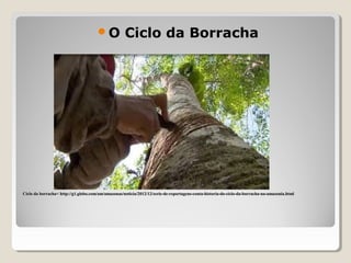 Ciclo da borracha< http://g1.globo.com/am/amazonas/noticia/2012/12/serie-de-reportagens-conta-historia-do-ciclo-da-borracha-na-amazonia.htmlCiclo da borracha< http://g1.globo.com/am/amazonas/noticia/2012/12/serie-de-reportagens-conta-historia-do-ciclo-da-borracha-na-amazonia.html
O Ciclo da Borracha
 