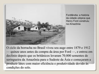 O ciclo da borracha no Brasil viveu seu auge entre 1879 e 1912O ciclo da borracha no Brasil viveu seu auge entre 1879 e 1912
— quinze anos antes da compra da área por Ford —, e entrou em— quinze anos antes da compra da área por Ford —, e entrou em
declínio depois que os britânicos levaram 70.000 sementes dedeclínio depois que os britânicos levaram 70.000 sementes de
seringueira da Amazônia para o Sudeste da Ásia e começaram aseringueira da Amazônia para o Sudeste da Ásia e começaram a
produzir látex com maior eficiência e produtividade devido àsproduzir látex com maior eficiência e produtividade devido às
condições do solo.condições do solo.
Fordlândia: a história
da cidade utópica que
Henry Ford construiu
na Amazônia
 