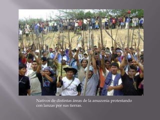 Nativos de distintas áreas de la amazonia protestando
con lanzas por sus tierras.
 