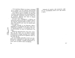 Terror- en -Winnipeg- libro de lecturapd