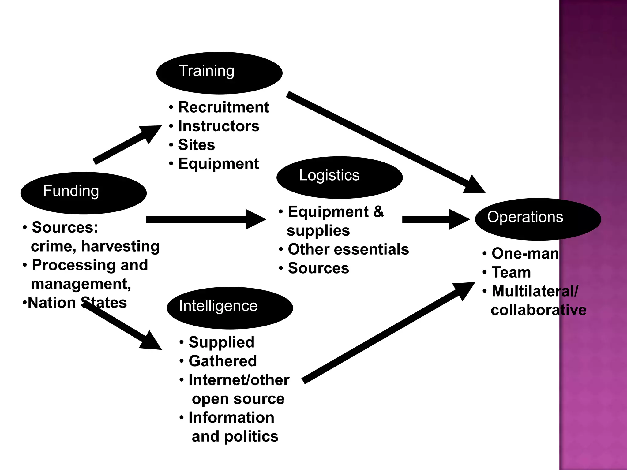 Terrorist Units and Cells:A Functional Approach