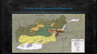 The areas operated by mujahideen forces in 1985
 