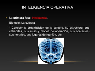 INTELIGENCIA OPERATIVA 
• La primera fase, inteligencia. 
Ejemplo: La culebra 
* Conocer la organización de la culebra, su estructura, sus 
cabecillas, sus rutas y modos de operación, sus contactos, 
sus horarios, sus lugares de reunión, etc. 
 