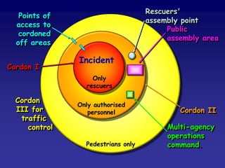 Terrorist attacks on London 2005 lessons for civil protection | PDF